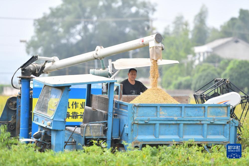 欢迎你到公海 欢迎你来到赌船